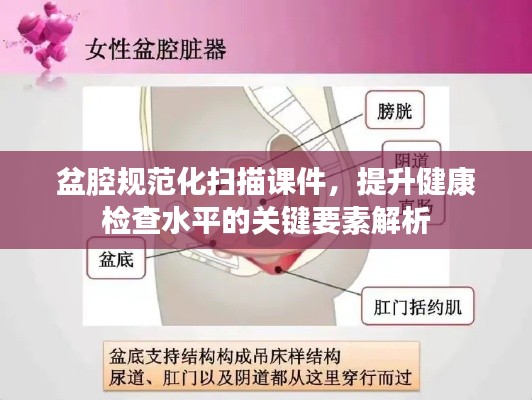 盆腔规范化扫描课件，提升健康检查水平的关键要素解析