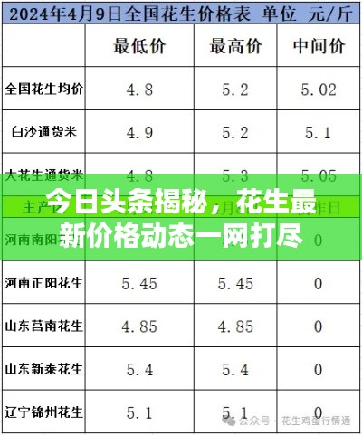 今日头条揭秘，花生最新价格动态一网打尽