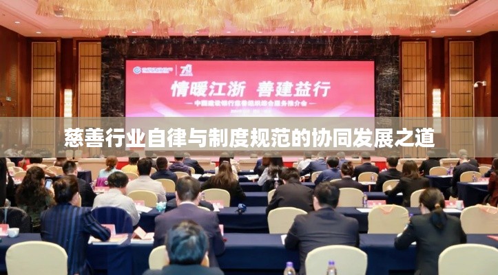 慈善行业自律与制度规范的协同发展之道