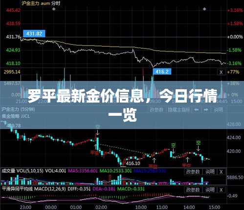 罗平最新金价信息，今日行情一览