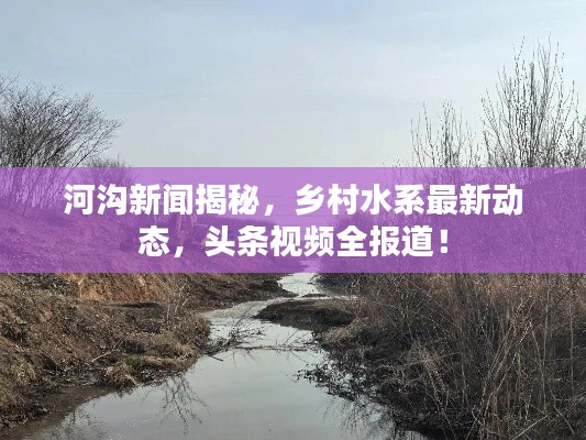 河沟新闻揭秘，乡村水系最新动态，头条视频全报道！