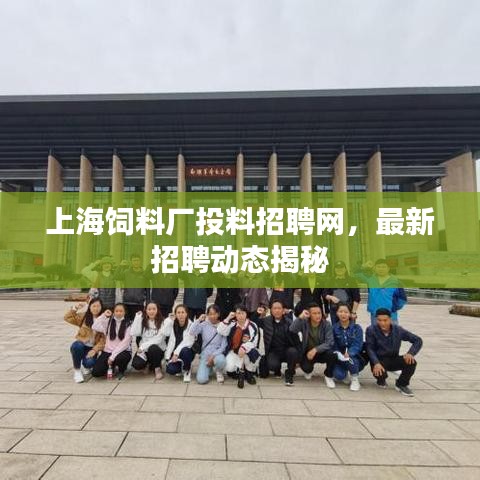 上海饲料厂投料招聘网，最新招聘动态揭秘