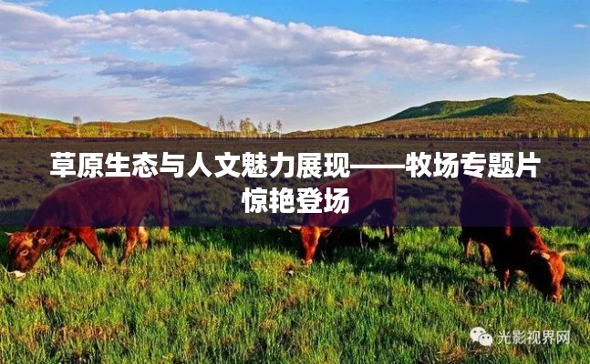 草原生态与人文魅力展现——牧场专题片惊艳登场