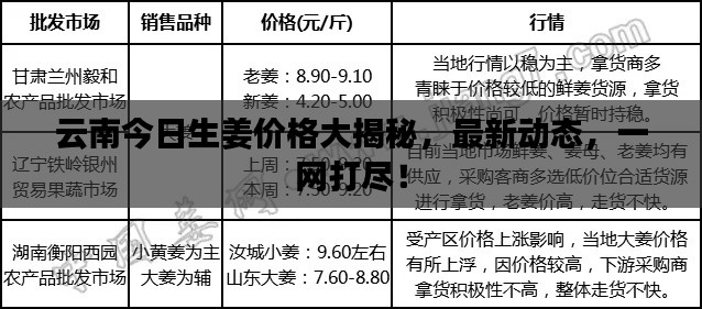 云南今日生姜价格大揭秘，最新动态，一网打尽！