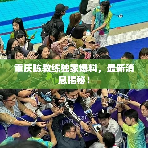 重庆陈教练独家爆料，最新消息揭秘！
