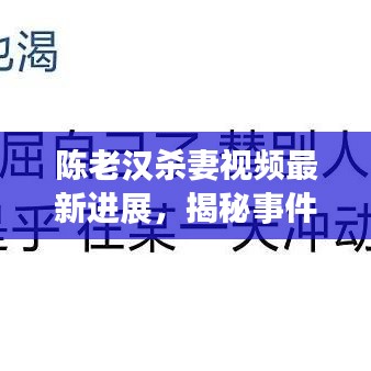 陈老汉杀妻视频最新进展，揭秘事件背后真相