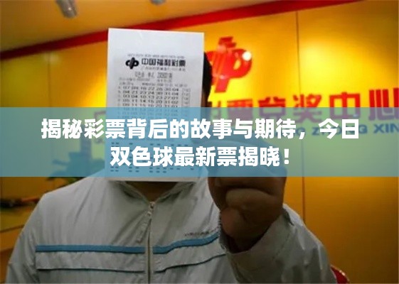 揭秘彩票背后的故事与期待，今日双色球最新票揭晓！