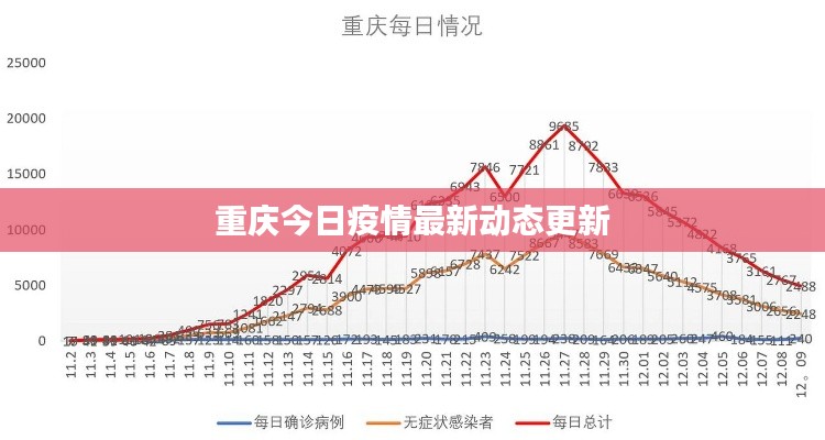 重庆今日疫情最新动态更新