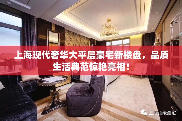 上海现代奢华大平层豪宅新楼盘，品质生活典范惊艳亮相！