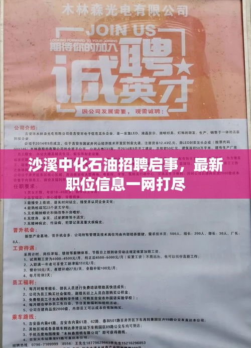 沙溪中化石油招聘启事，最新职位信息一网打尽