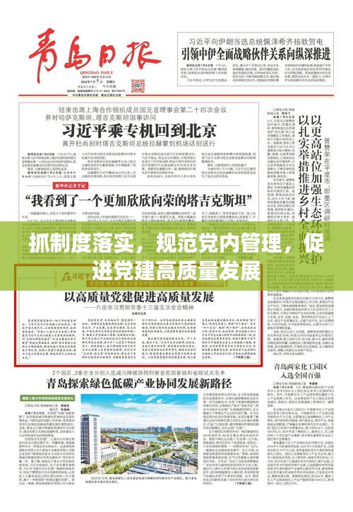 抓制度落实，规范党内管理，促进党建高质量发展