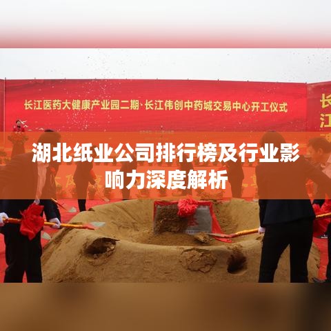 湖北纸业公司排行榜及行业影响力深度解析