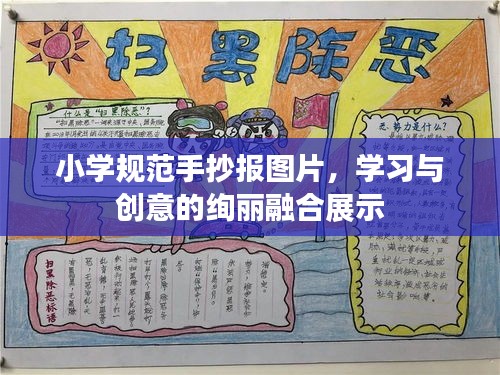小学规范手抄报图片，学习与创意的绚丽融合展示