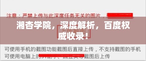 湘杏学院，深度解析，百度权威收录！
