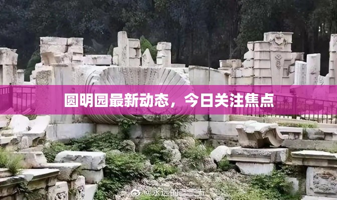 圆明园最新动态，今日关注焦点