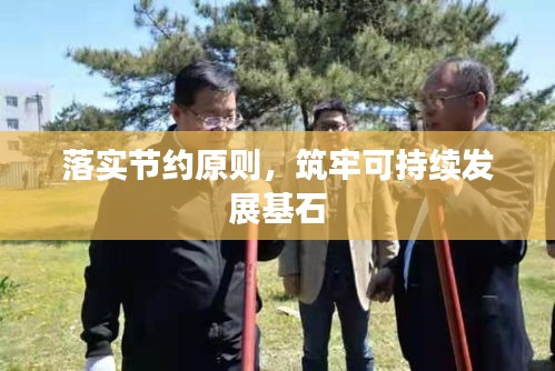 落实节约原则，筑牢可持续发展基石