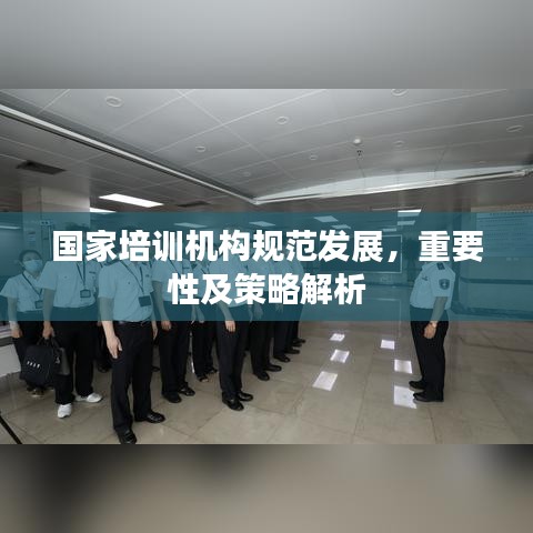 国家培训机构规范发展，重要性及策略解析
