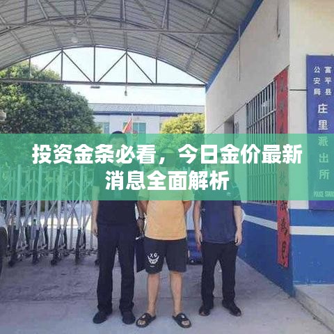 投资金条必看，今日金价最新消息全面解析