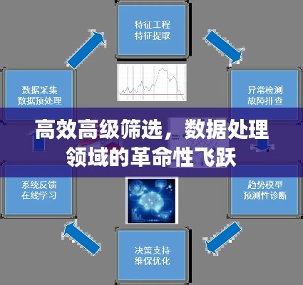 高效高级筛选，数据处理领域的革命性飞跃