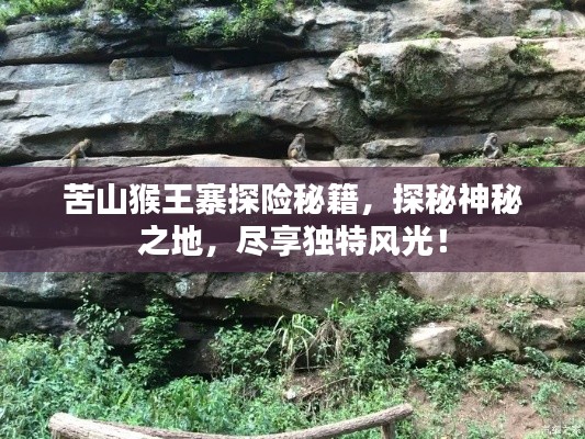 苦山猴王寨探险秘籍，探秘神秘之地，尽享独特风光！