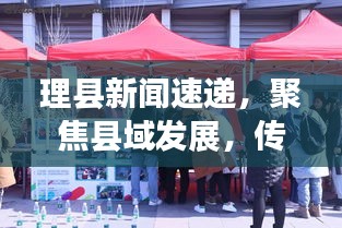 理县新闻速递，聚焦县域发展，传递最新资讯动态