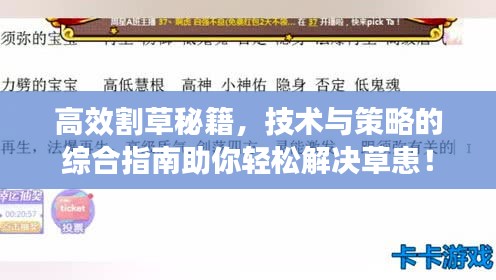 高效割草秘籍，技术与策略的综合指南助你轻松解决草患！