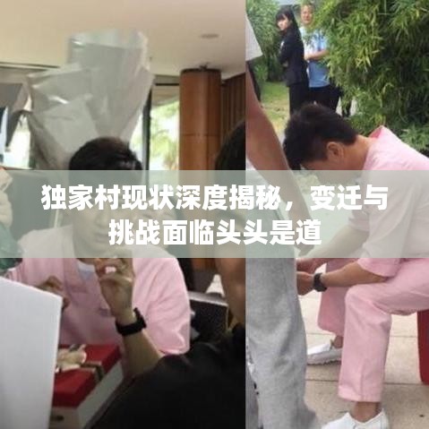 独家村现状深度揭秘，变迁与挑战面临头头是道