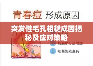 突发性毛孔粗糙成因揭秘及应对策略