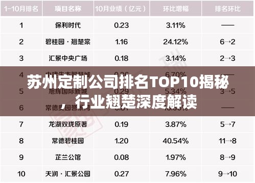 苏州定制公司排名TOP10揭秘，行业翘楚深度解读