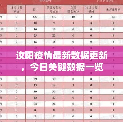 汝阳疫情最新数据更新，今日关键数据一览