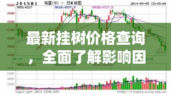 最新挂树价格查询，全面了解影响因素及今日价格走势