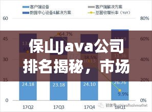 保山Java公司排名揭秘，市场分析与趋势展望