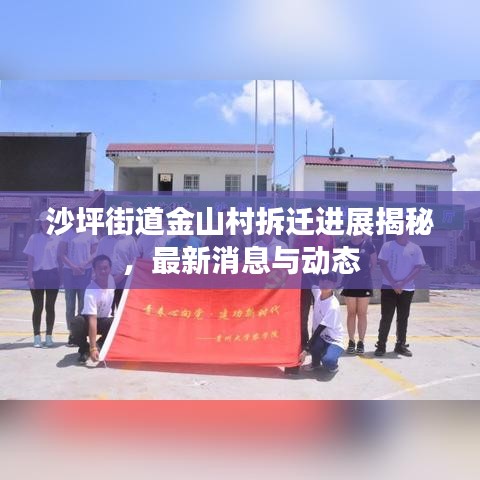 沙坪街道金山村拆迁进展揭秘，最新消息与动态