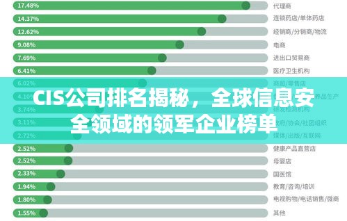 CIS公司排名揭秘，全球信息安全领域的领军企业榜单