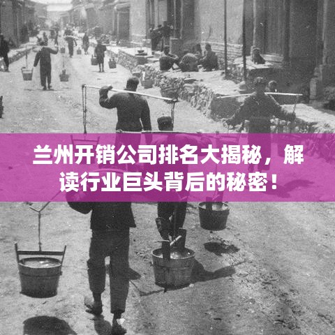 兰州开销公司排名大揭秘，解读行业巨头背后的秘密！