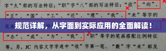 规范详解，从字面到实际应用的全面解读！