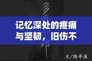 记忆深处的疼痛与坚韧，旧伤不断的历程