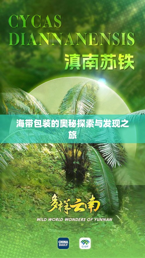 海带包装的奥秘探索与发现之旅