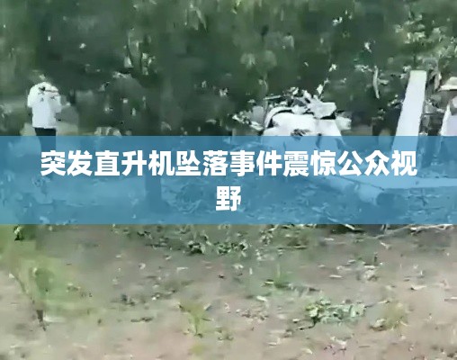 突发直升机坠落事件震惊公众视野