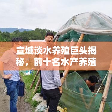 宣城淡水养殖巨头揭秘，前十名水产养殖业的佼佼者榜单来袭！