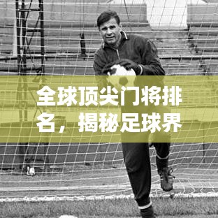 全球顶尖门将排名，揭秘足球界最佳门将榜单！