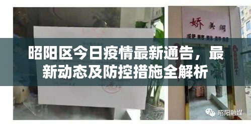 昭阳区今日疫情最新通告，最新动态及防控措施全解析