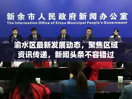 渝水区最新发展动态，聚焦区域资讯传递，新闻头条不容错过