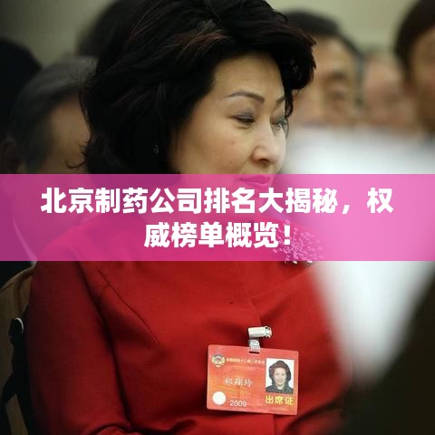 北京制药公司排名大揭秘，权威榜单概览！