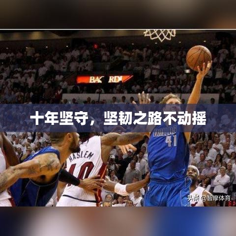 十年坚守，坚韧之路不动摇
