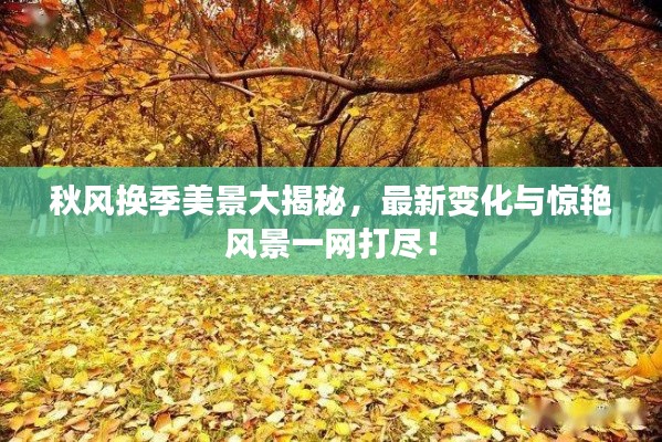 秋风换季美景大揭秘，最新变化与惊艳风景一网打尽！