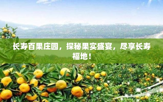 长寿百果庄园，探秘果实盛宴，尽享长寿福地！