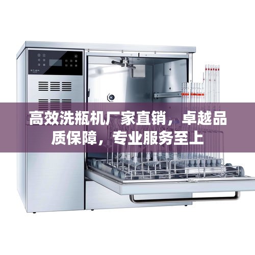 高效洗瓶机厂家直销，卓越品质保障，专业服务至上