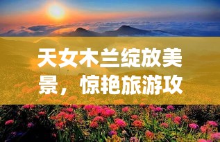 天女木兰绽放美景，惊艳旅游攻略来袭！