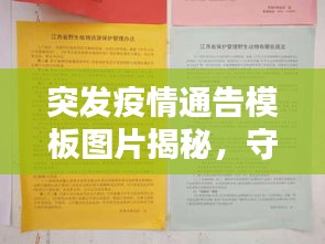 突发疫情通告模板图片揭秘，守护安全，知情权利不容忽视